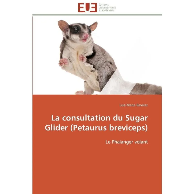 La consultation du sugar glider (petaurus breviceps)