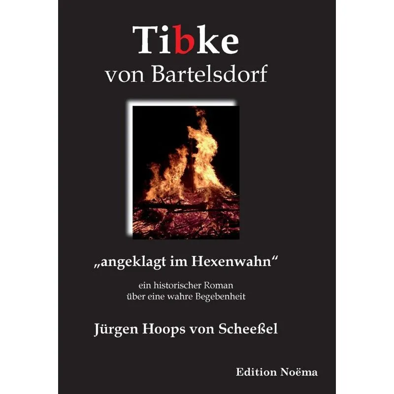Tibke von Bartelsdorf. angeklagt im Hexenwahn. Ein histor