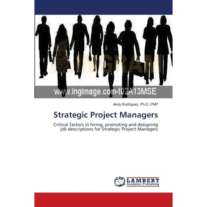 Strategic Project Managers