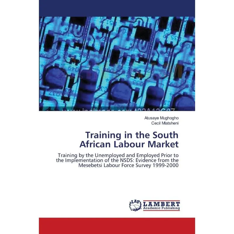 Training in the South African Labour Market