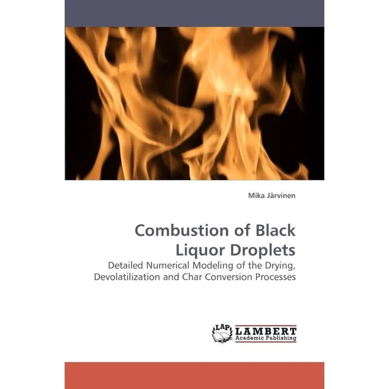 Combustion Of Black Liquor Droplets