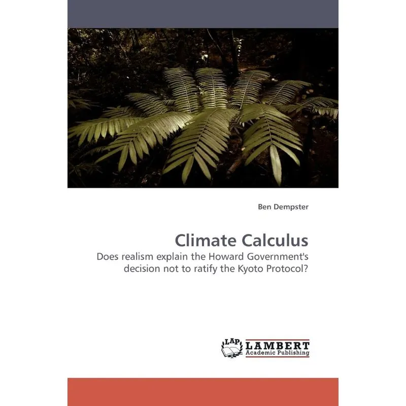 Climate Calculus