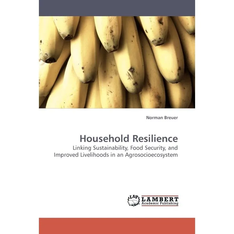 Household Resilience