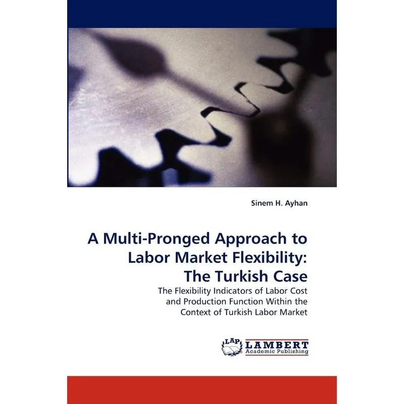 A Multi-Pronged Approach to Labor Market Flexibility