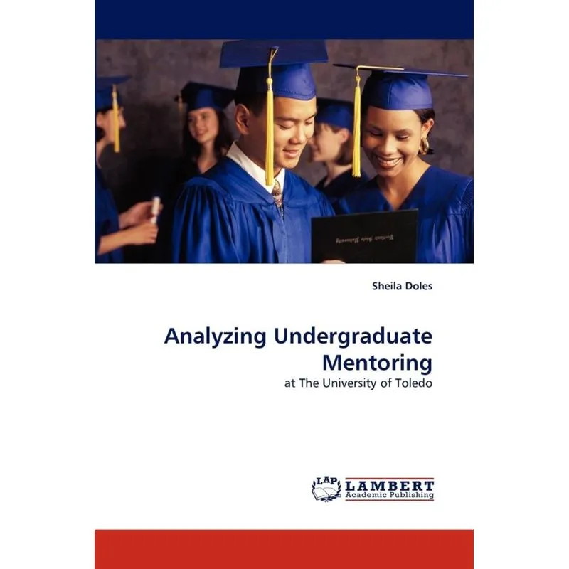 Analyzing Undergraduate Mentoring