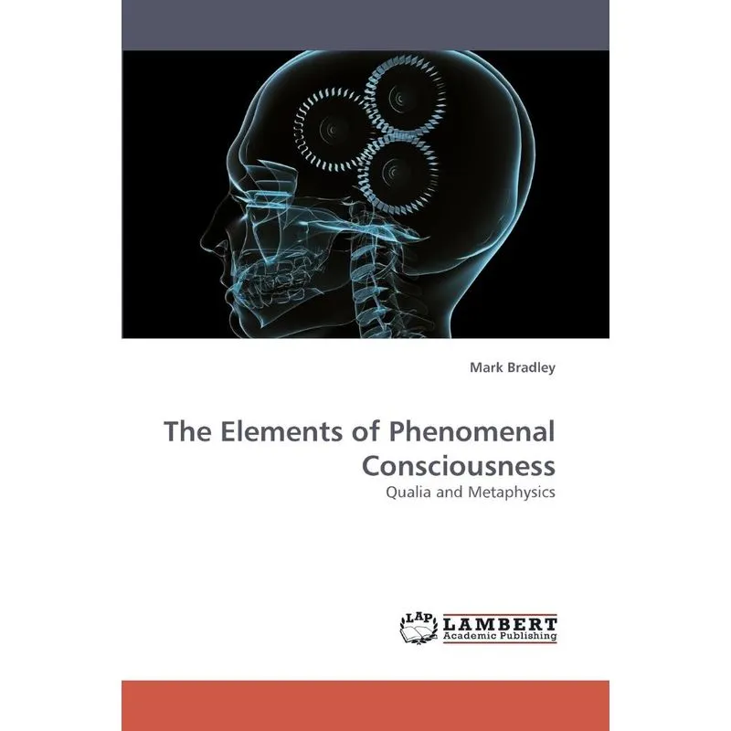 The Elements of Phenomenal Consciousness