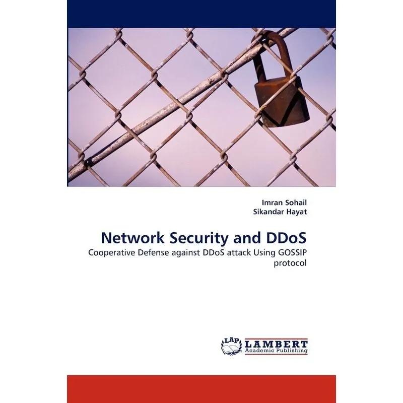 Network Security and DDoS