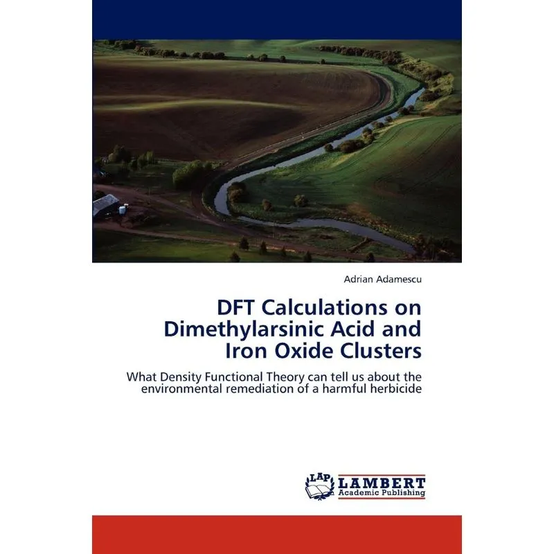 DFT Calculations on Dimethylarsinic Acid and Iron Oxide Clu