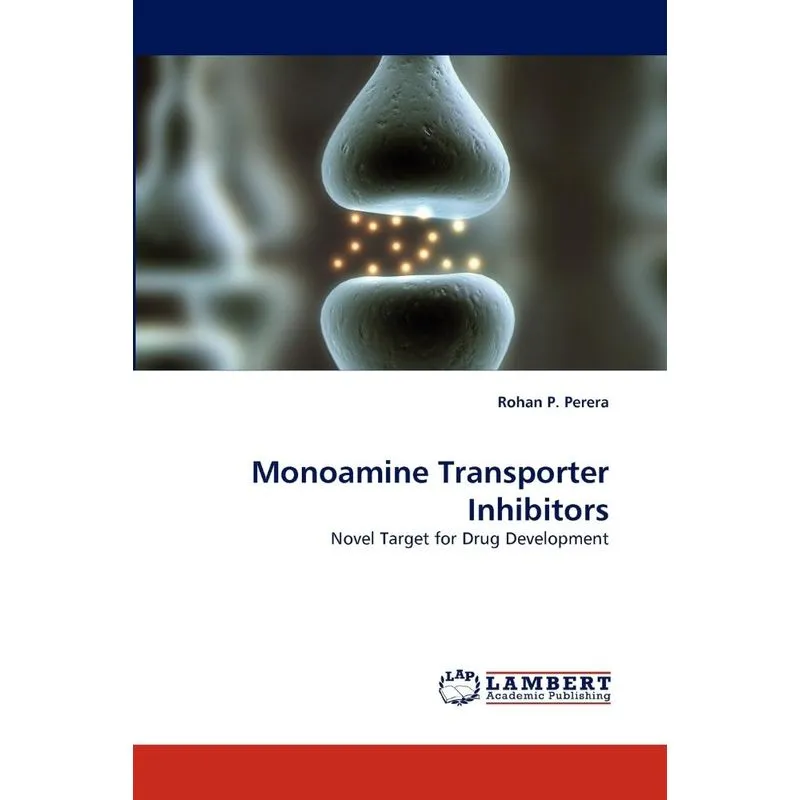 Monoamine Transporter Inhibitors