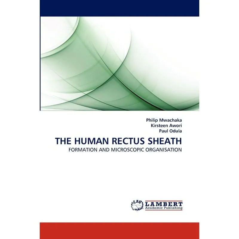 THE HUMAN RECTUS SHEATH