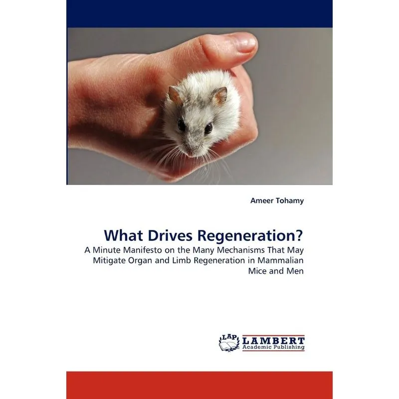 What Drives Regeneration?