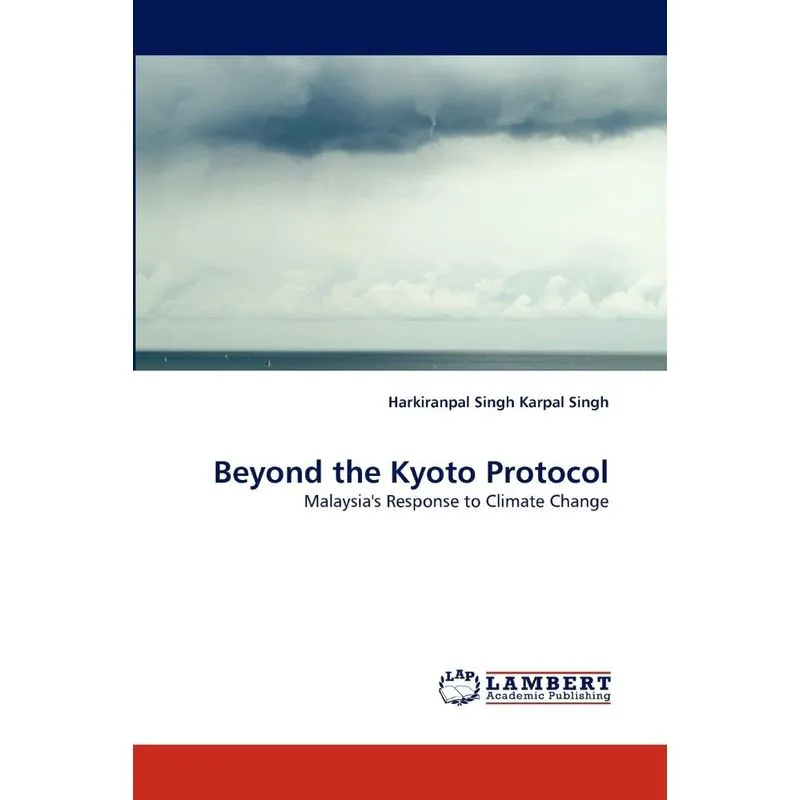Beyond the Kyoto Protocol