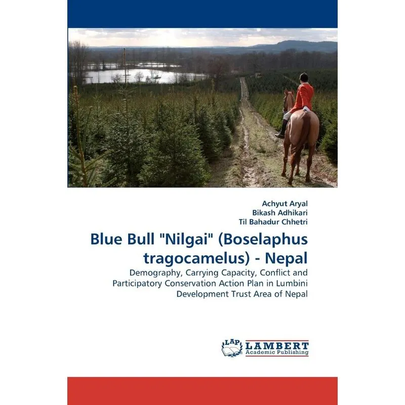Blue Bull Nilgai (boselaphus Tragocamelus) - Nepal
