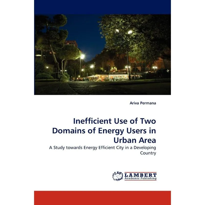 Inefficient Use of Two Domains of Energy Users in Urban Are