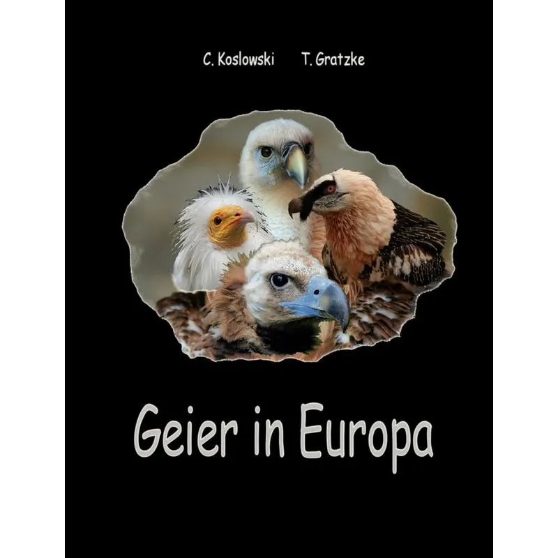 Geier in Europa