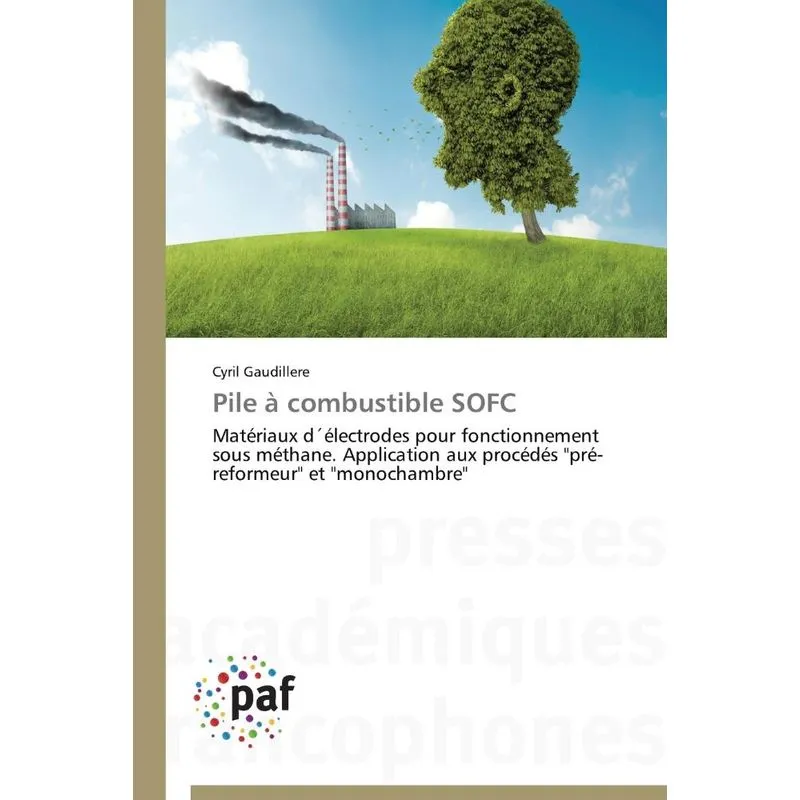 Pile à combustible sofc