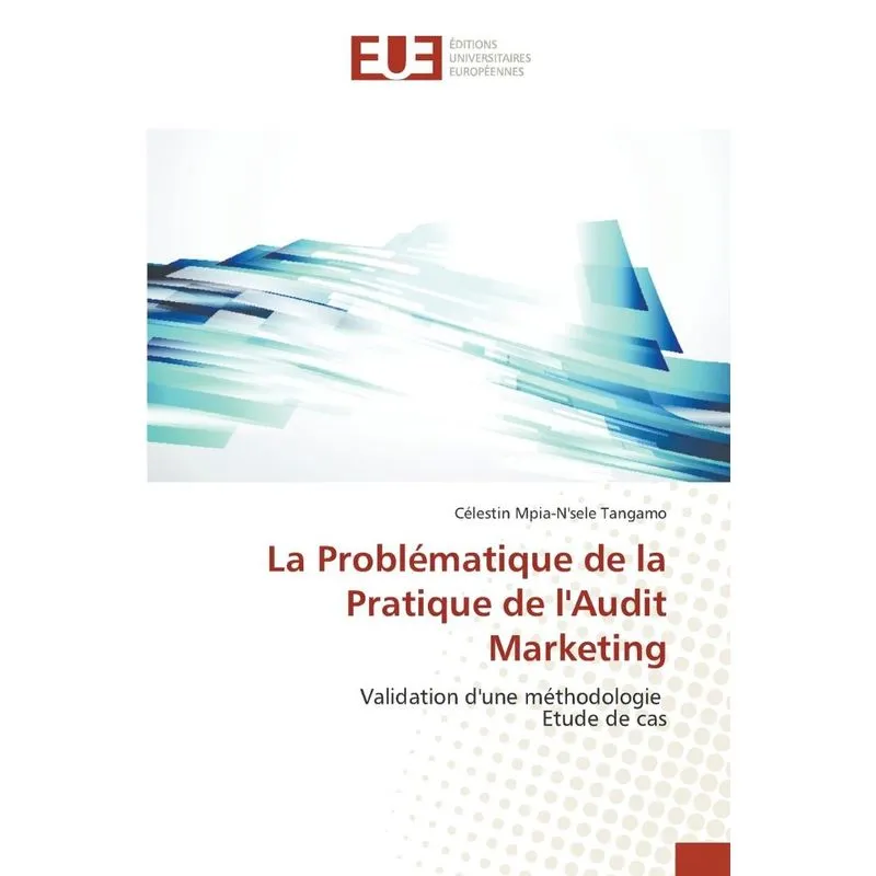 La problématique de la pratique de laudit marketing