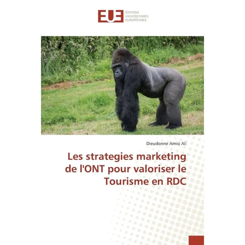 Les strategies marketing de lont pour valoriser le tourisme en rdc