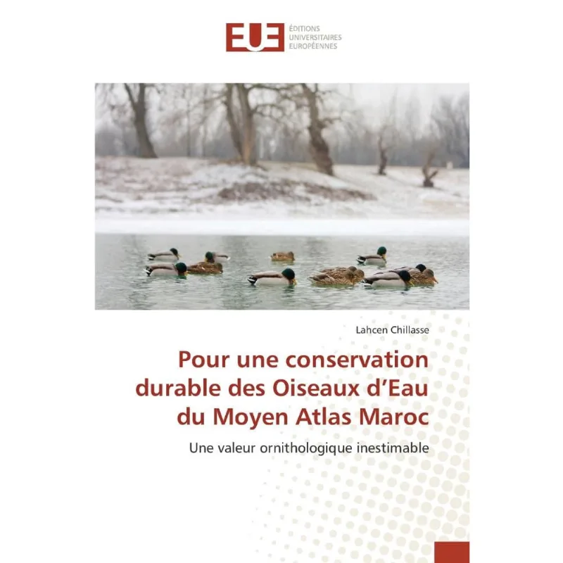 Pour une conservation durable des oiseaux d eau du moyen atlas maroc