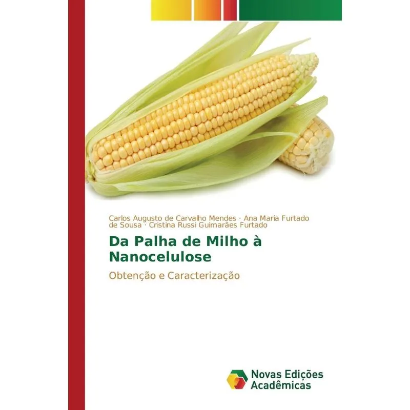 Da Palha de Milho à Nanocelulose