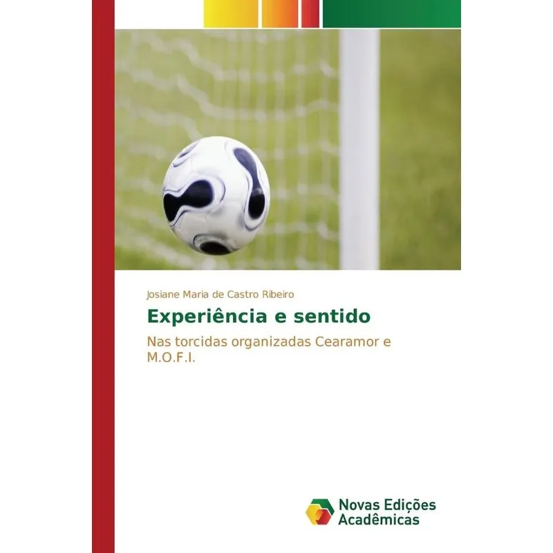Experiência e sentido