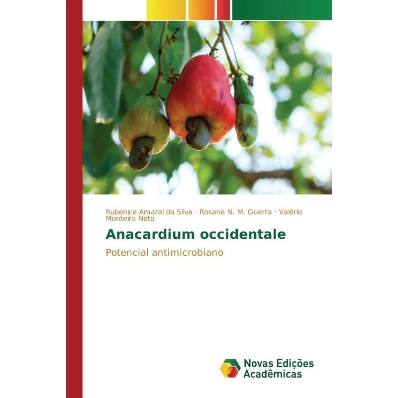Anacardium Occidentale