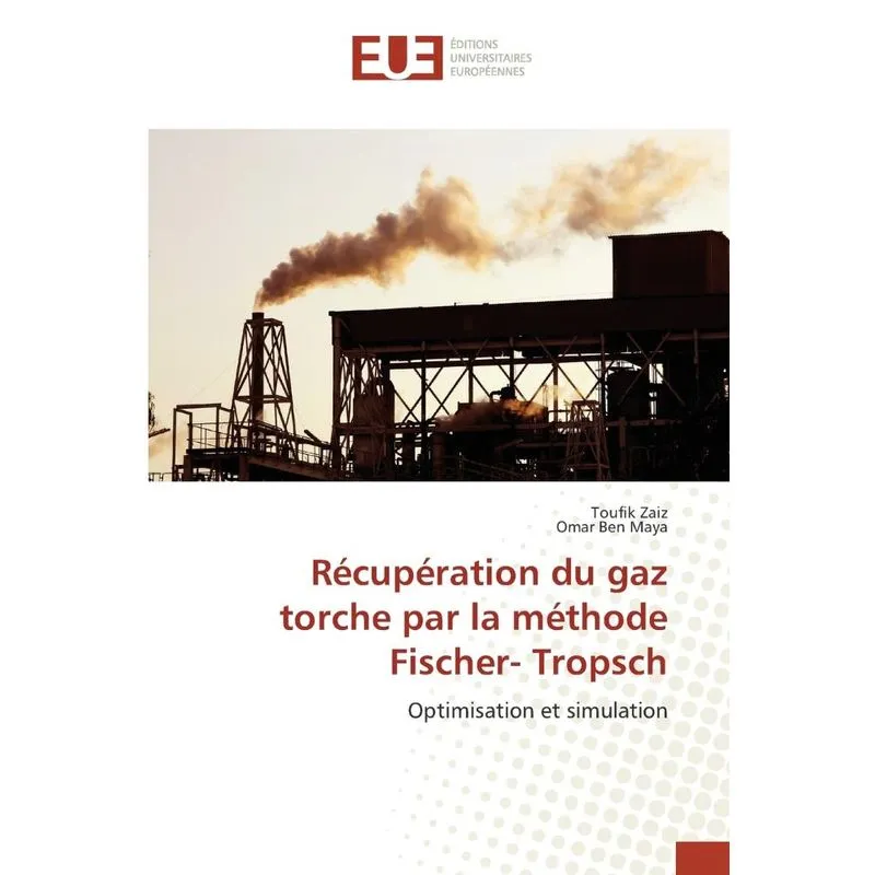 Livro Récupération du gaz torche par la méthode fischer- tropsch
