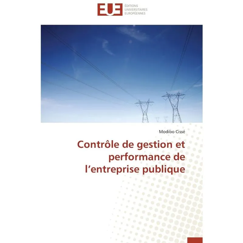 Contrôle de gestion et performance de l entreprise publique
