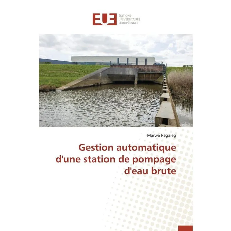 Gestion automatique d'une station de pompage d'eau brute