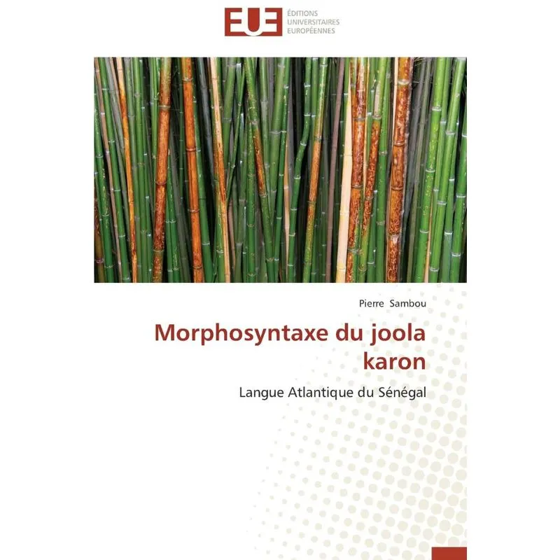 Morphosyntaxe du joola karon