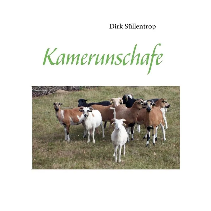 Kamerunschafe