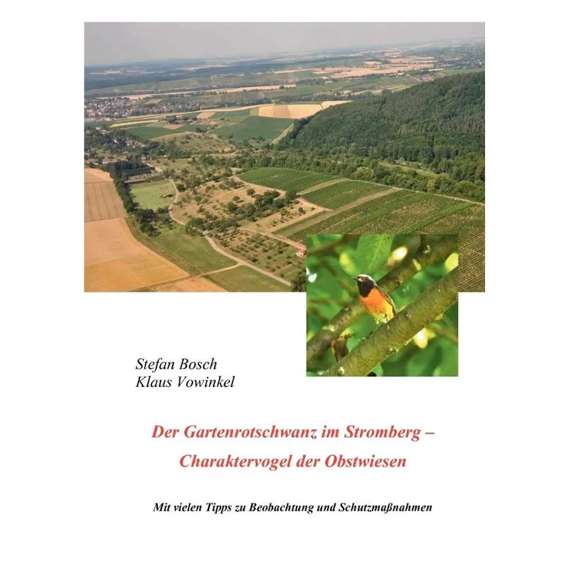 Der Gartenrotschwanz im Stromberg