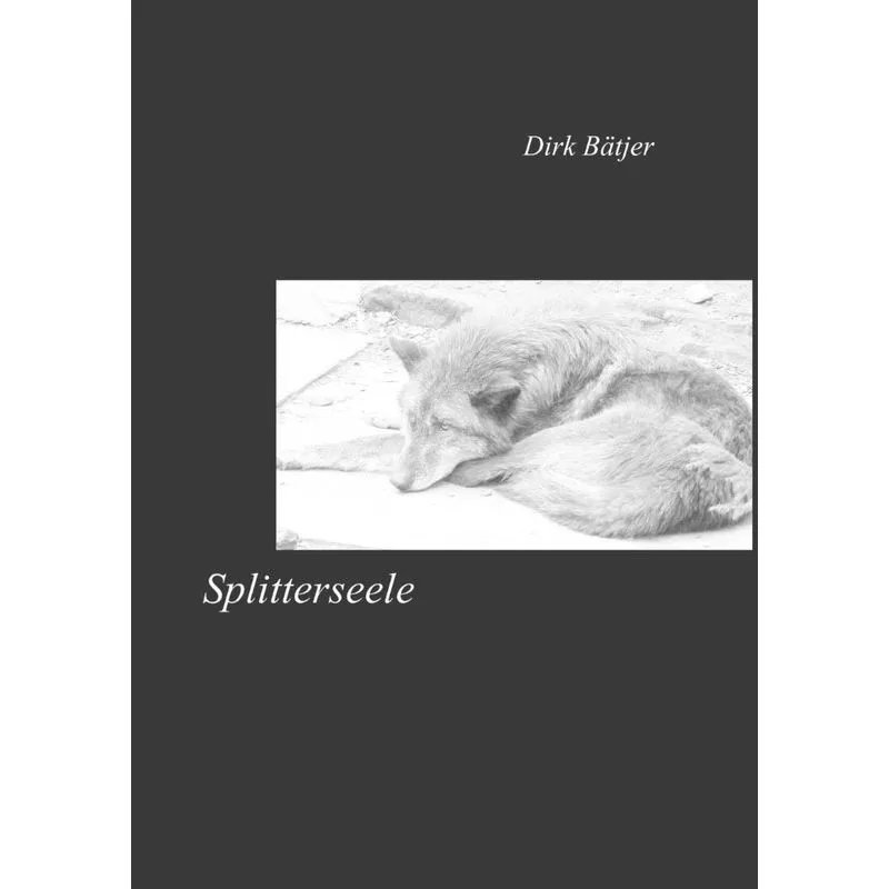 Splitterseele