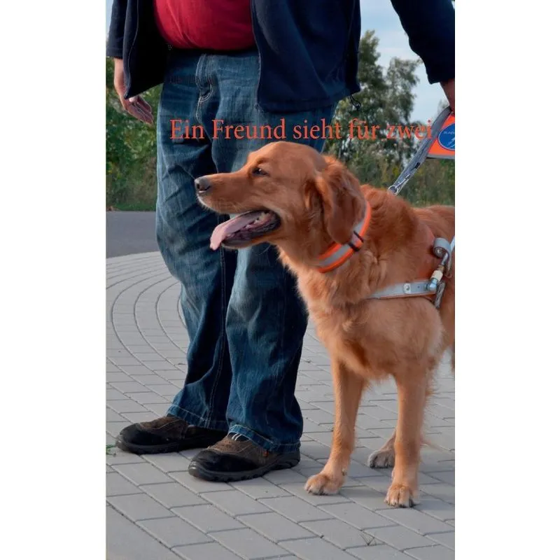 Ein Freund sieht für zwei