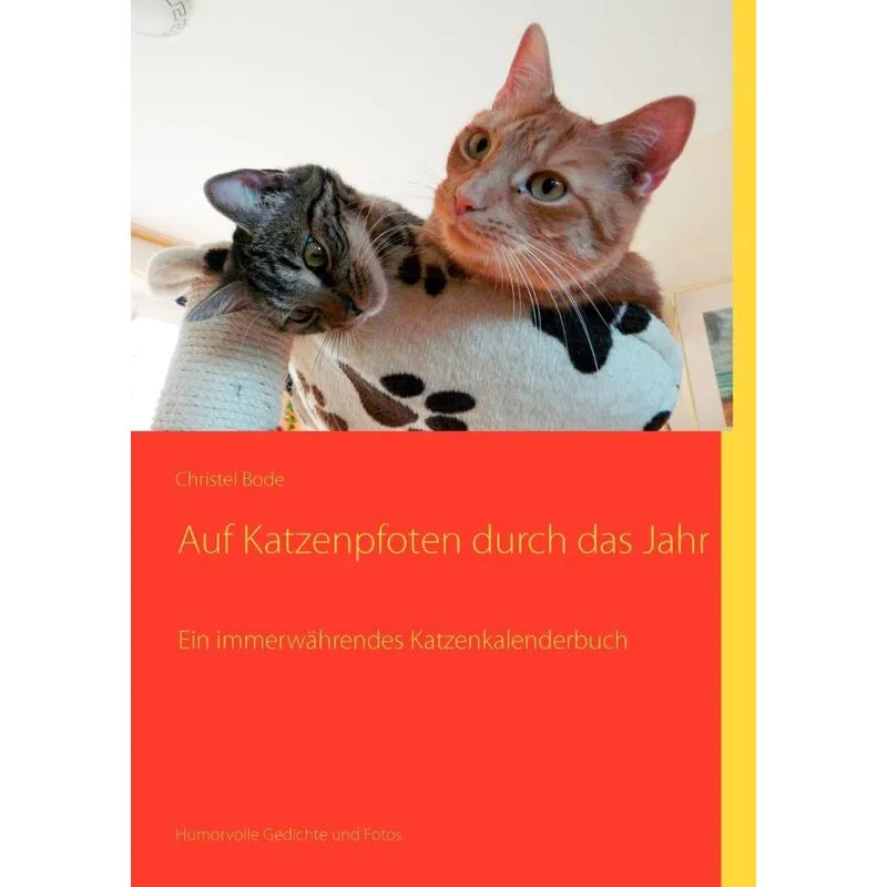 Auf Katzenpfoten durch das Jahr
