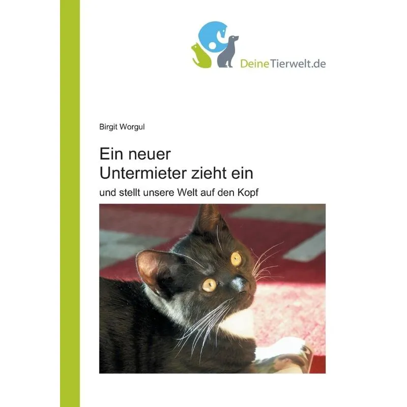 Ein Neuer Untermieter Zieht Ein