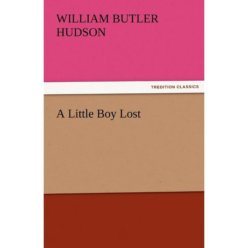 A Little Boy Lost
