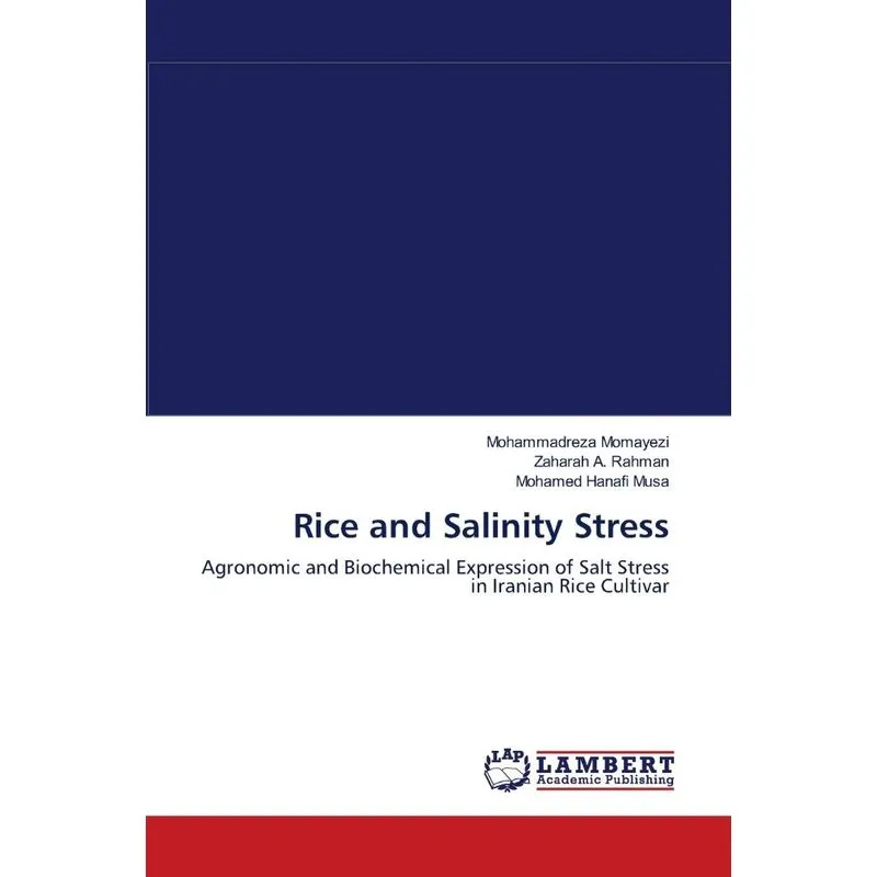 Rice and Salinity Stress