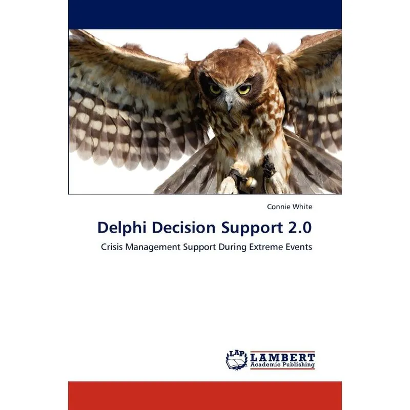 Delphi Decision Support 2.0