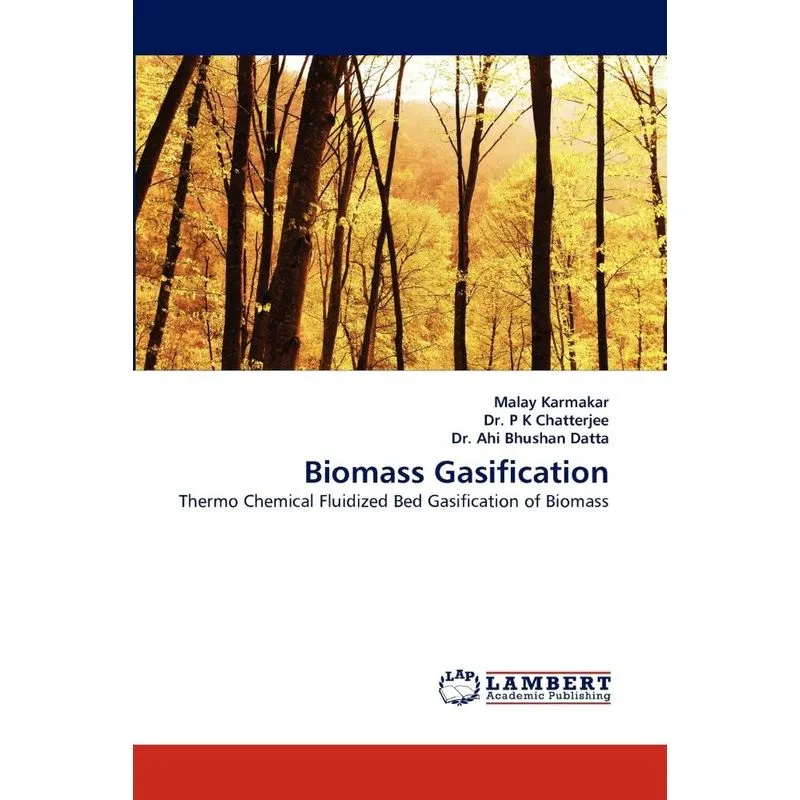 Biomass Gasification