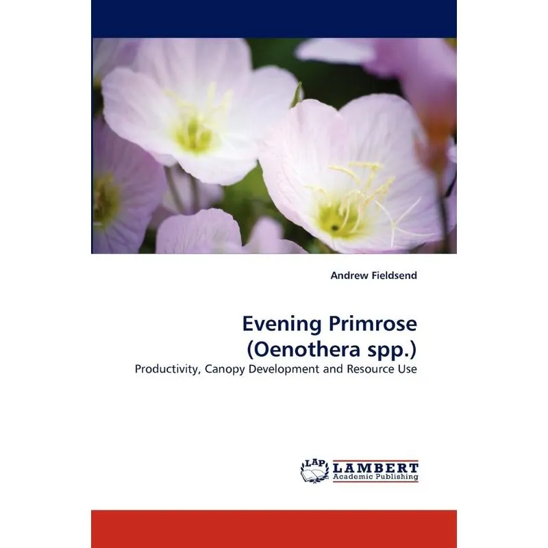 Evening Primrose (oenothera Spp.)