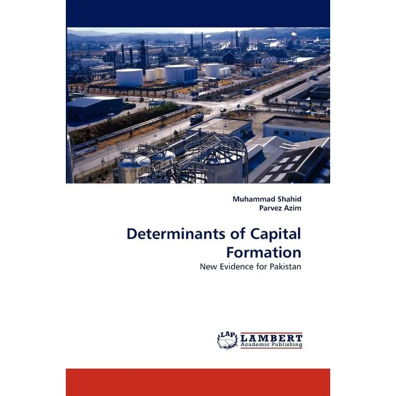 Determinants of Capital Formation