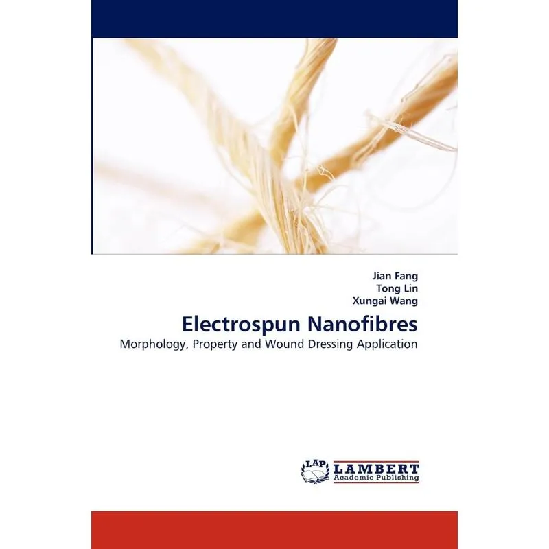 Electrospun Nanofibres