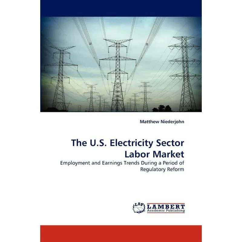 The U.S. Electricity Sector Labor Market