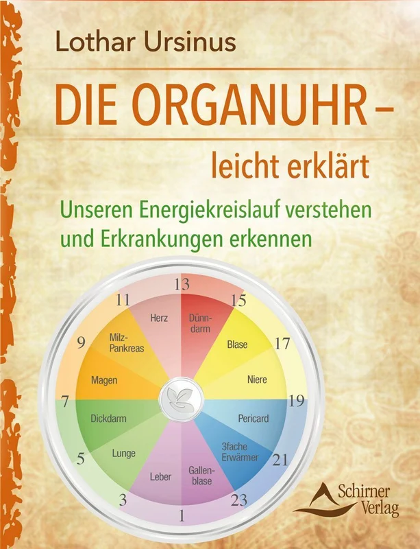 Die Organuhr - leicht erklärt