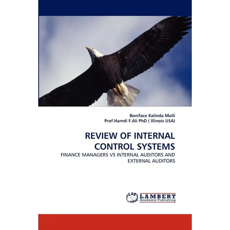 Review of Internal Control Systems