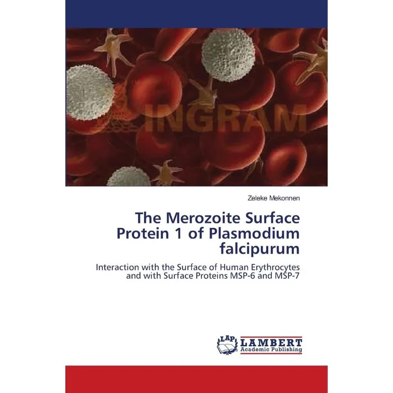 The Merozoite Surface Protein 1 of Plasmodium falcipurum