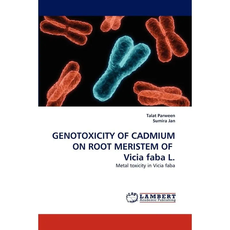 Genotoxicity Of Cadmium On Root Meristem Of Vicia Faba L.