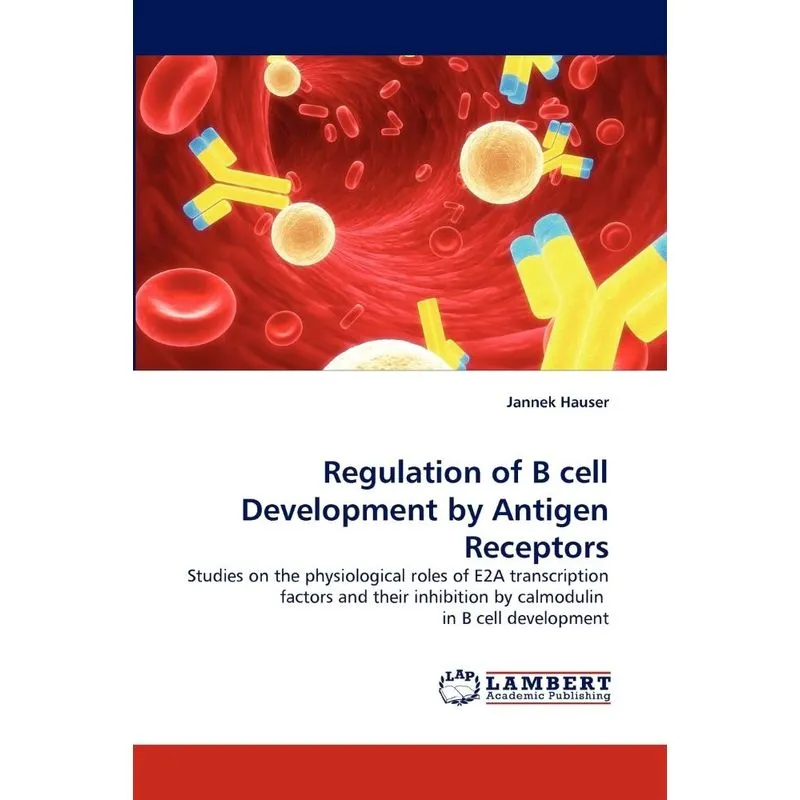 Regulation of B Cell Development by Antigen Receptors