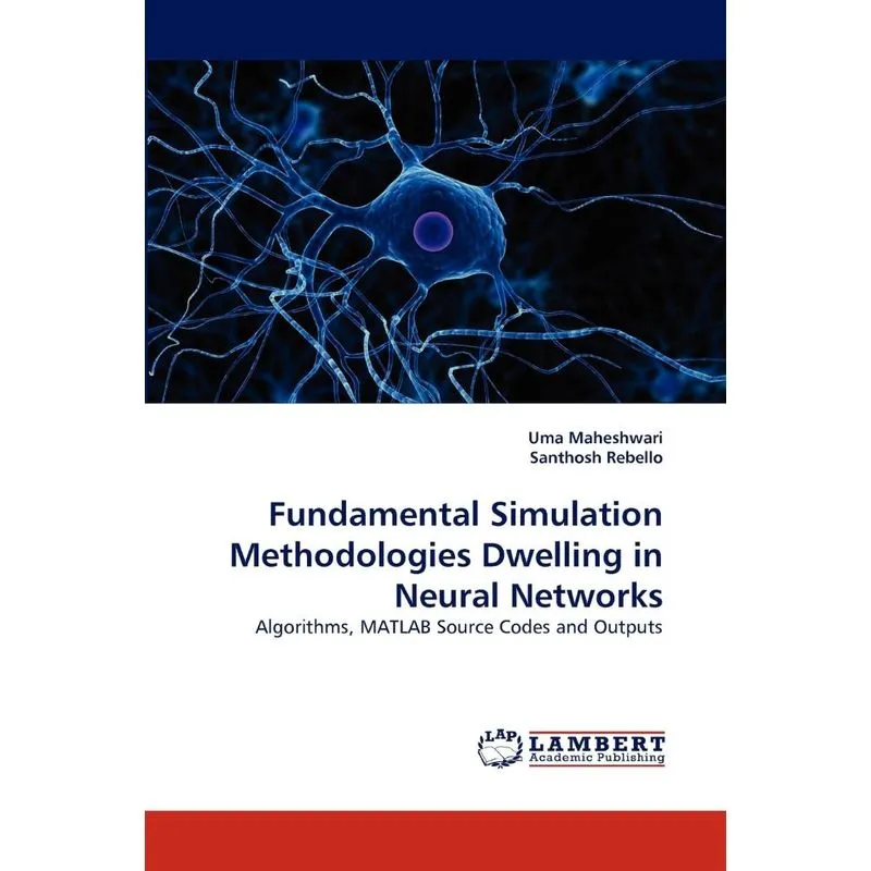 Fundamental Simulation Methodologies Dwelling In Neural Net